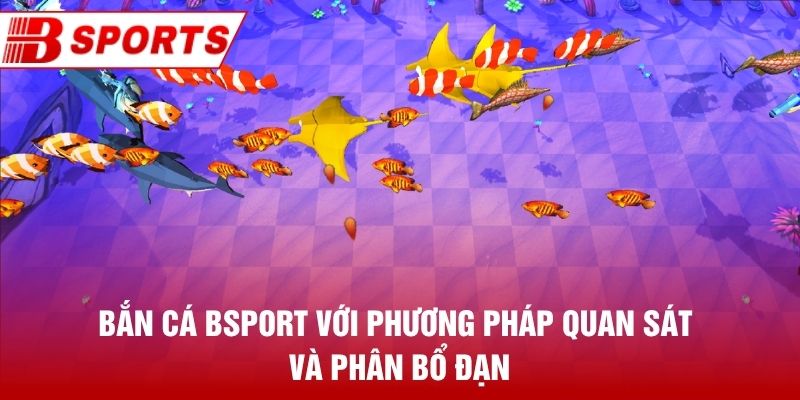Bắn Cá Bsport với phương pháp quan sát và phân bổ đạn