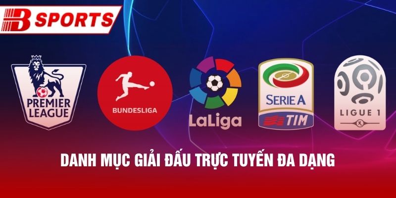 Danh mục giải đấu trực tuyến đa dạng